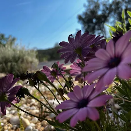 Sonus Silentii 公寓