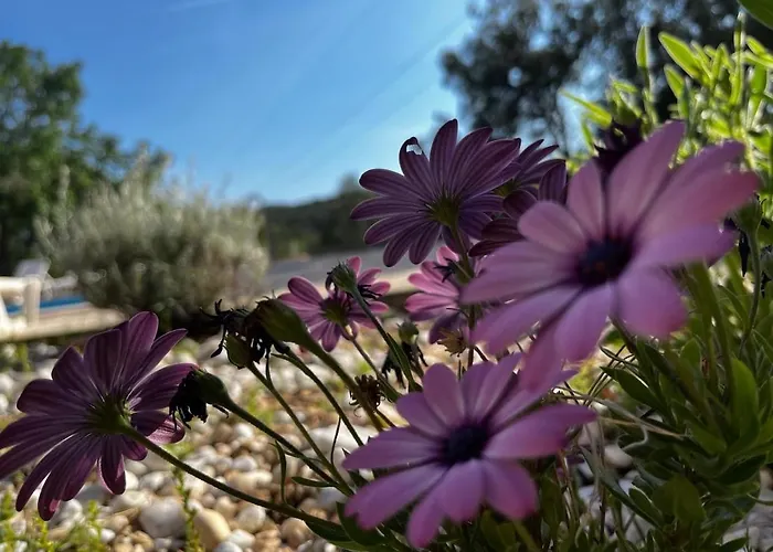 Sonus Silentii Appartamento